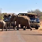 Bothongo Rhino & Lion Nature Reserve