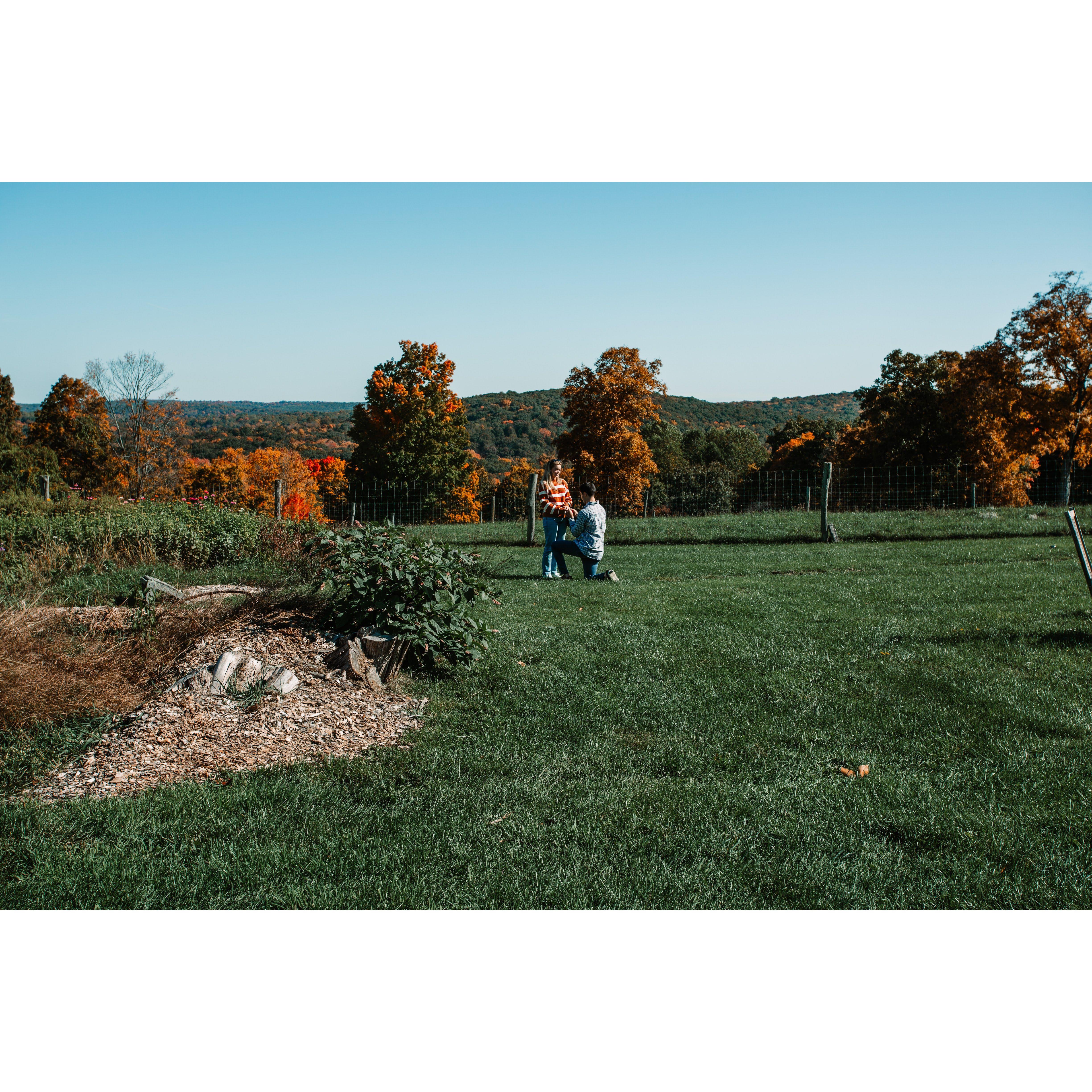 Nico proposed at the Hickories Farm in Melissa's hometown, Ridgefield, CT.