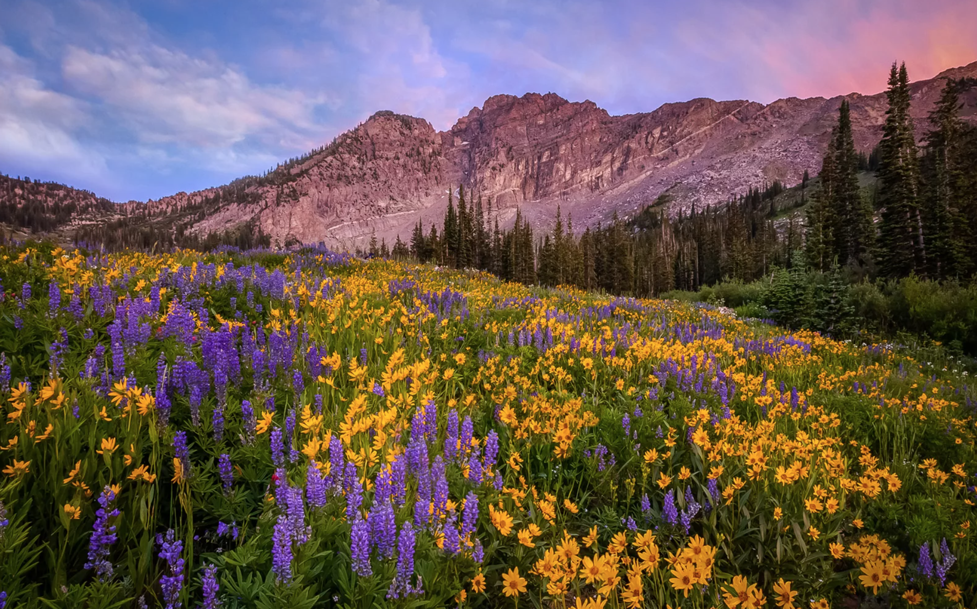 The Wedding Website of Andrea Conway and Jeffrey Steenblik