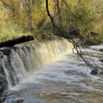 Ridley Creek State Park
