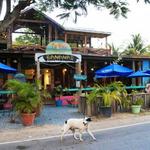 Restaurants / Bars