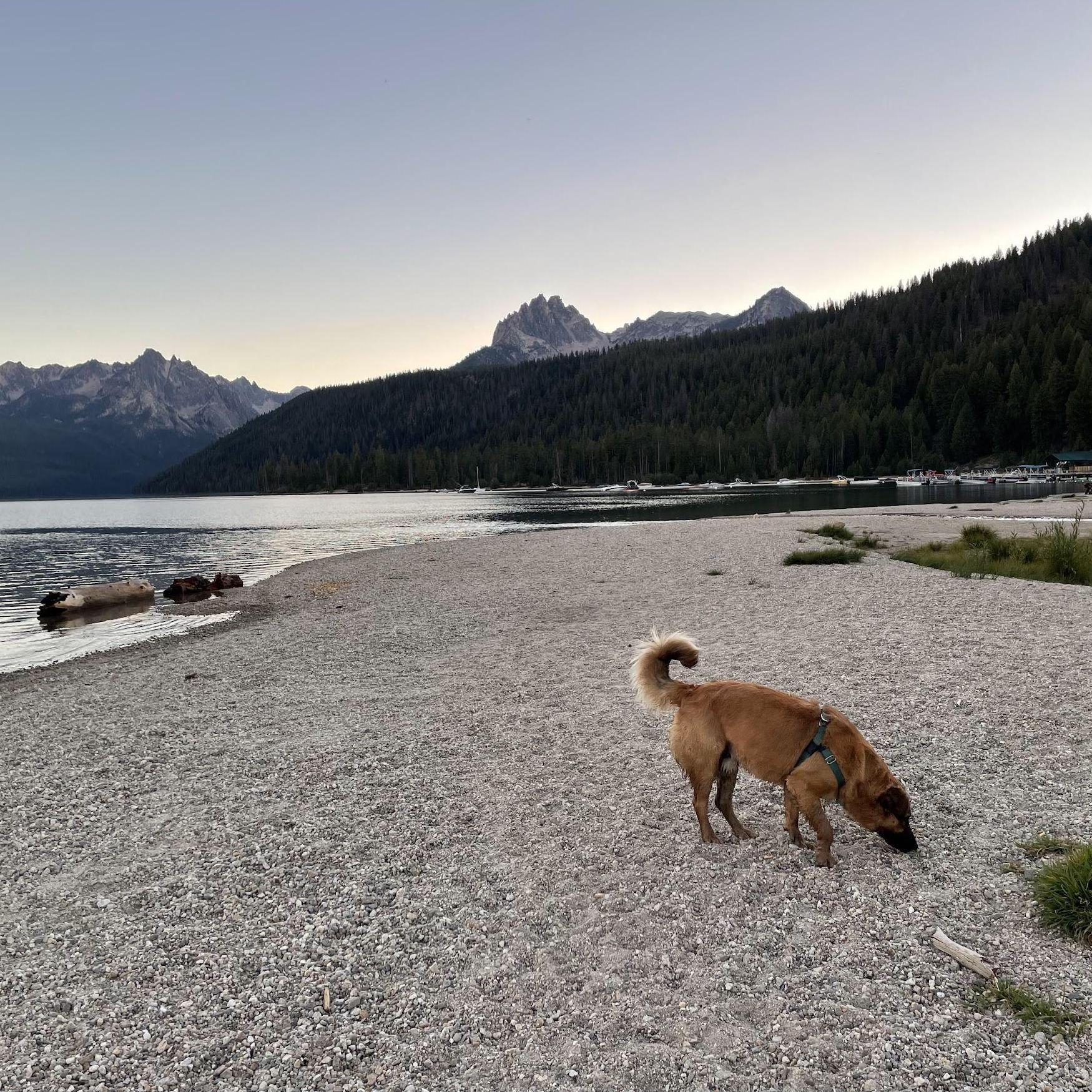 Redfish Lake