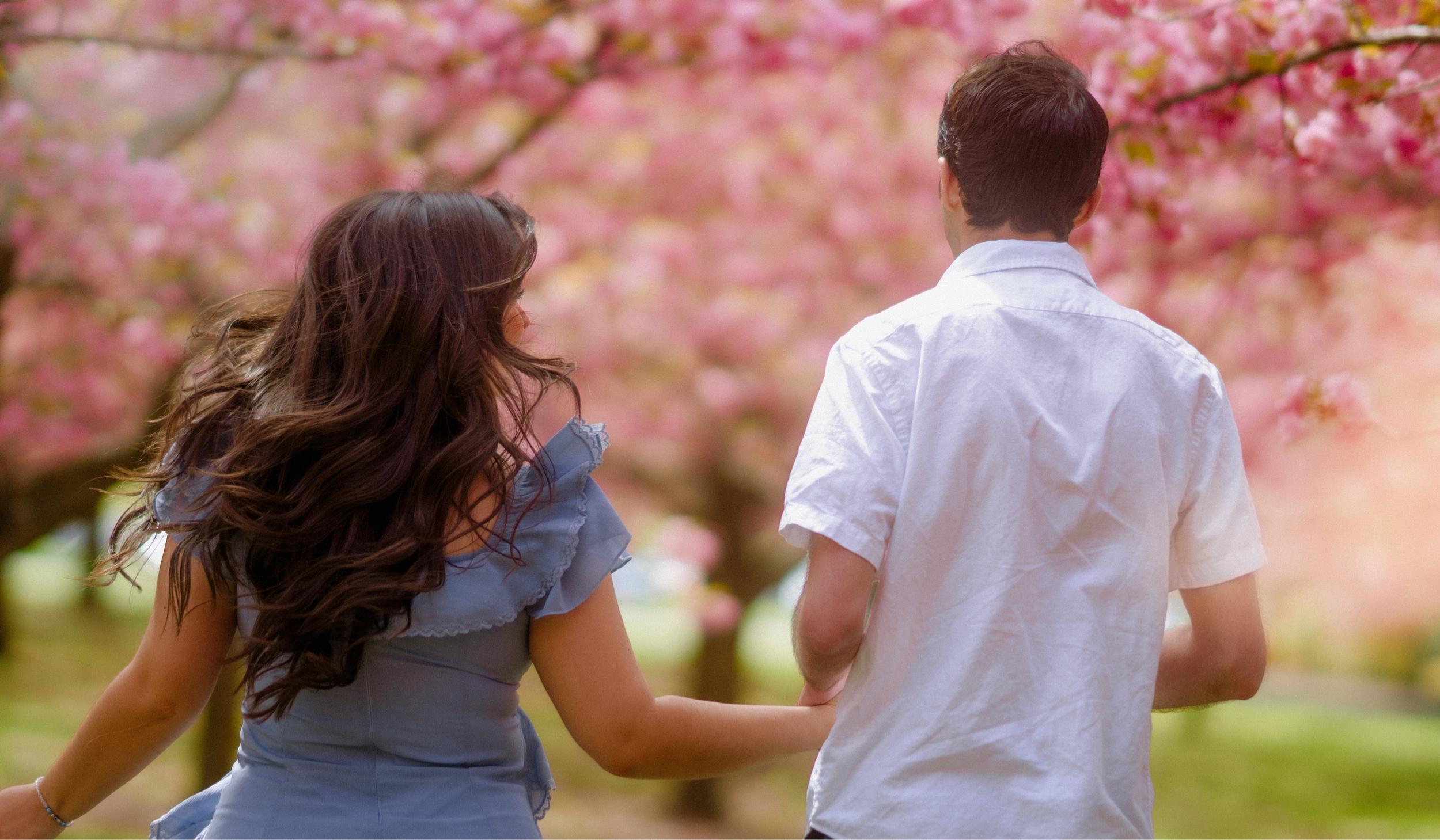 The Wedding Website of Alexandra Irvin and Nicholas Petrantis