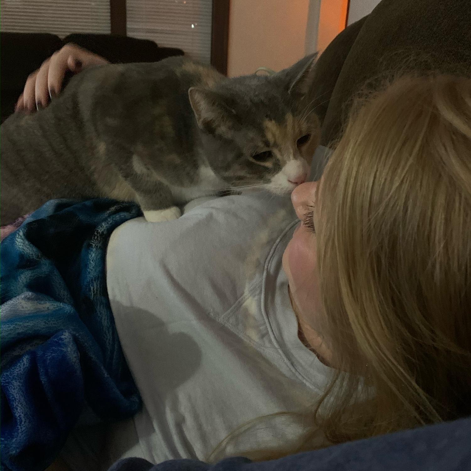 Aud's first cat friend