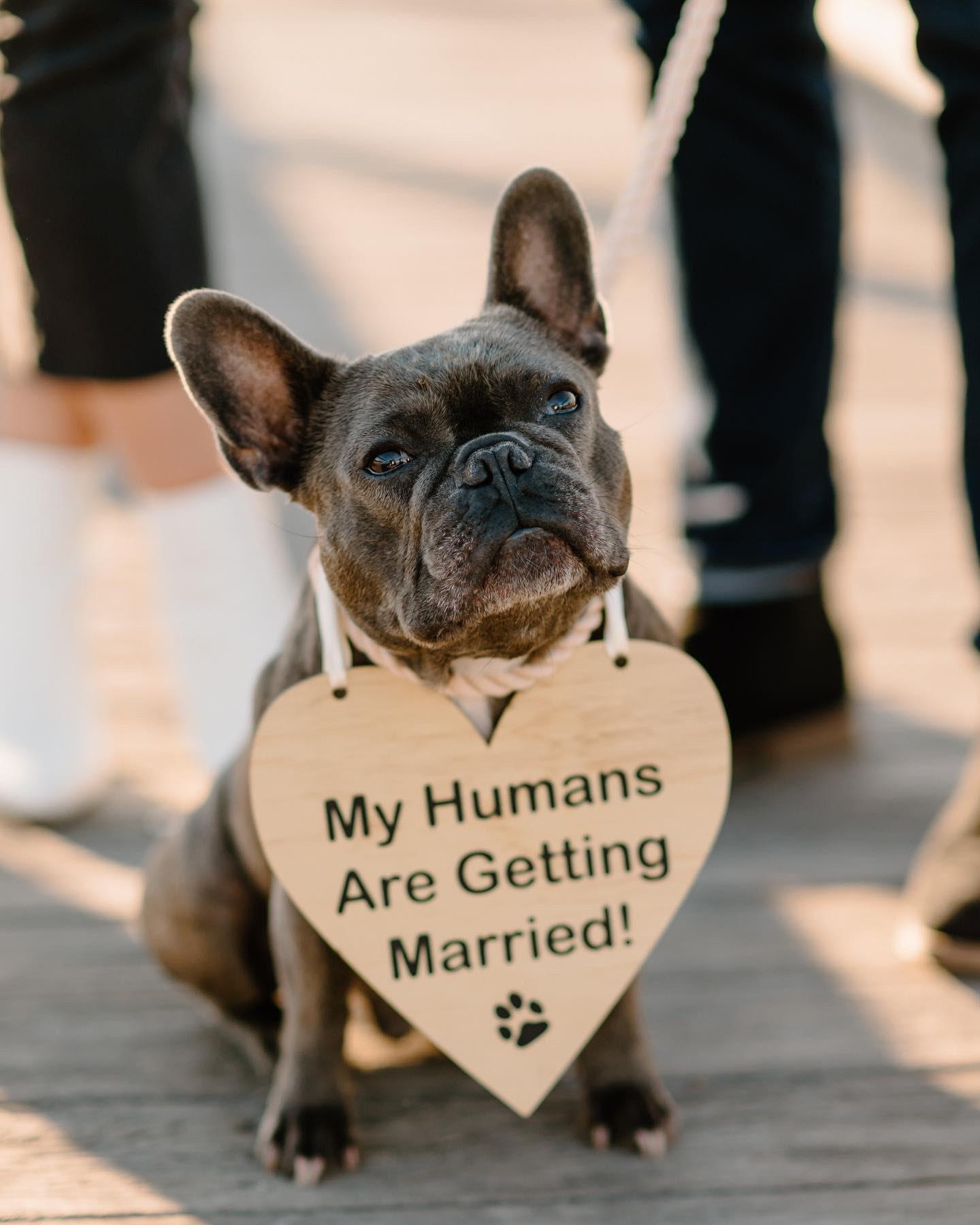 The Wedding Website of Lauren Hurley and Patrick Dillon