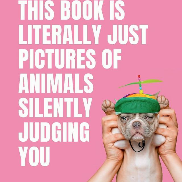 This Book is Literally Just Pictures of Animals Silently Judging You