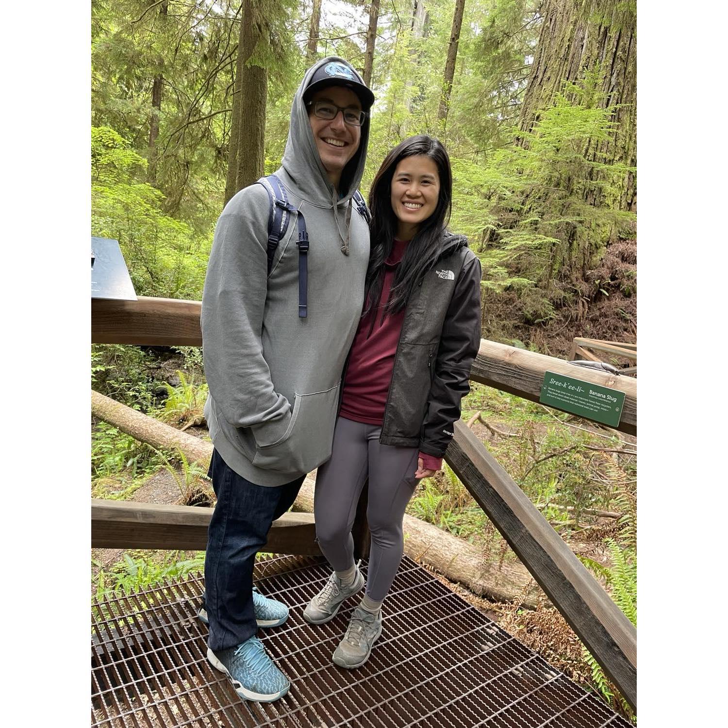 We like big trees