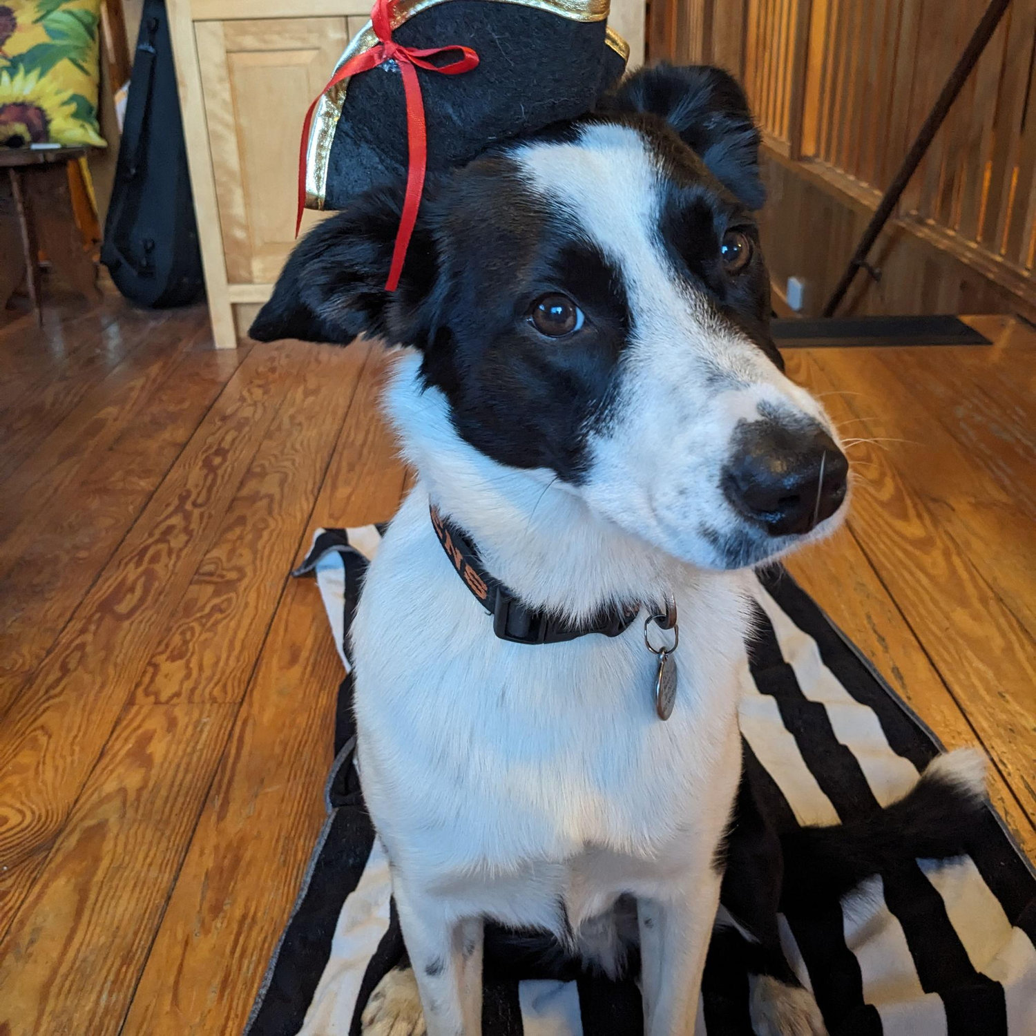 Hat