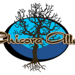 Chicora Avenue
