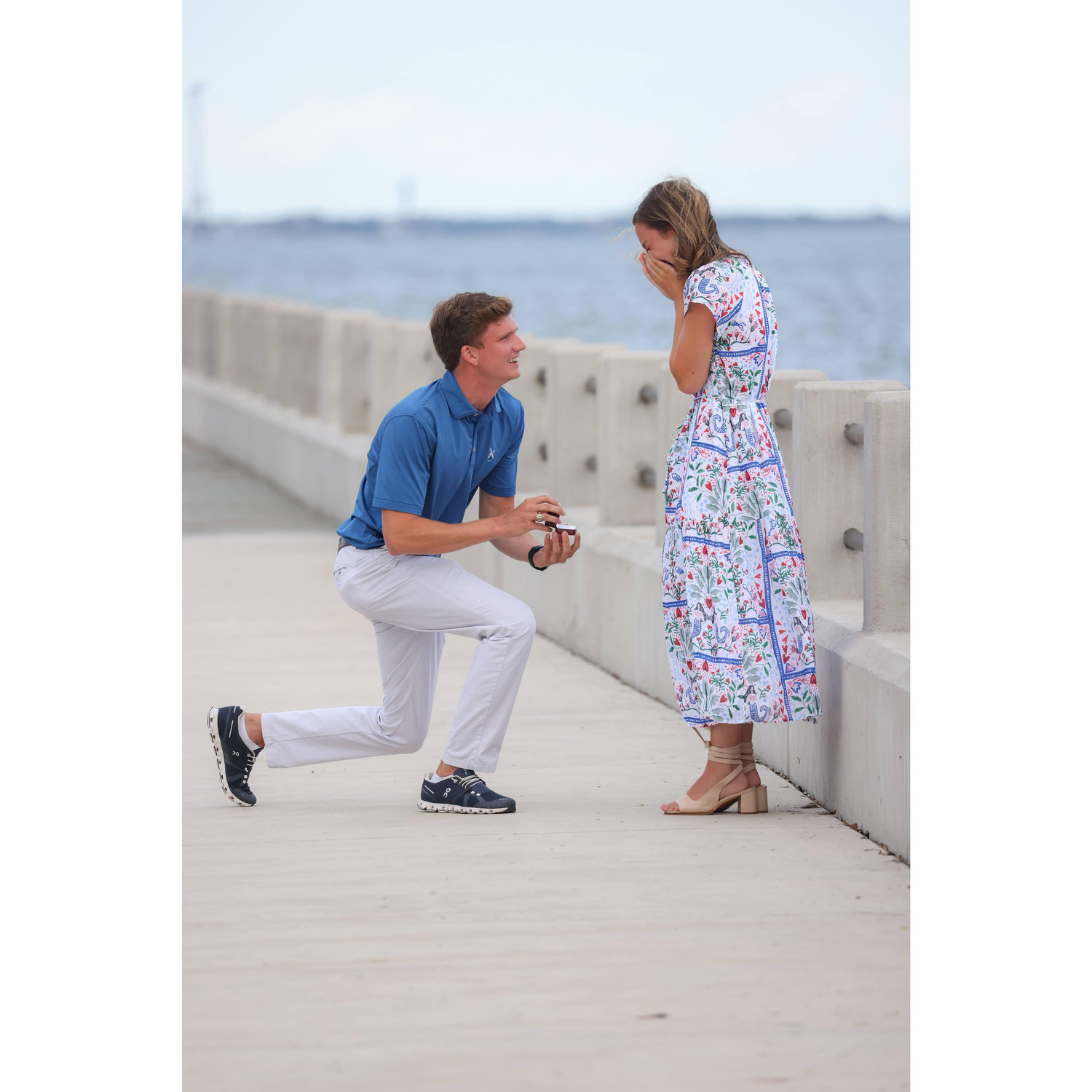 THE PROPOSAL