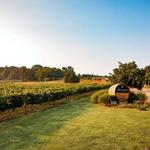 Arrington Vineyards