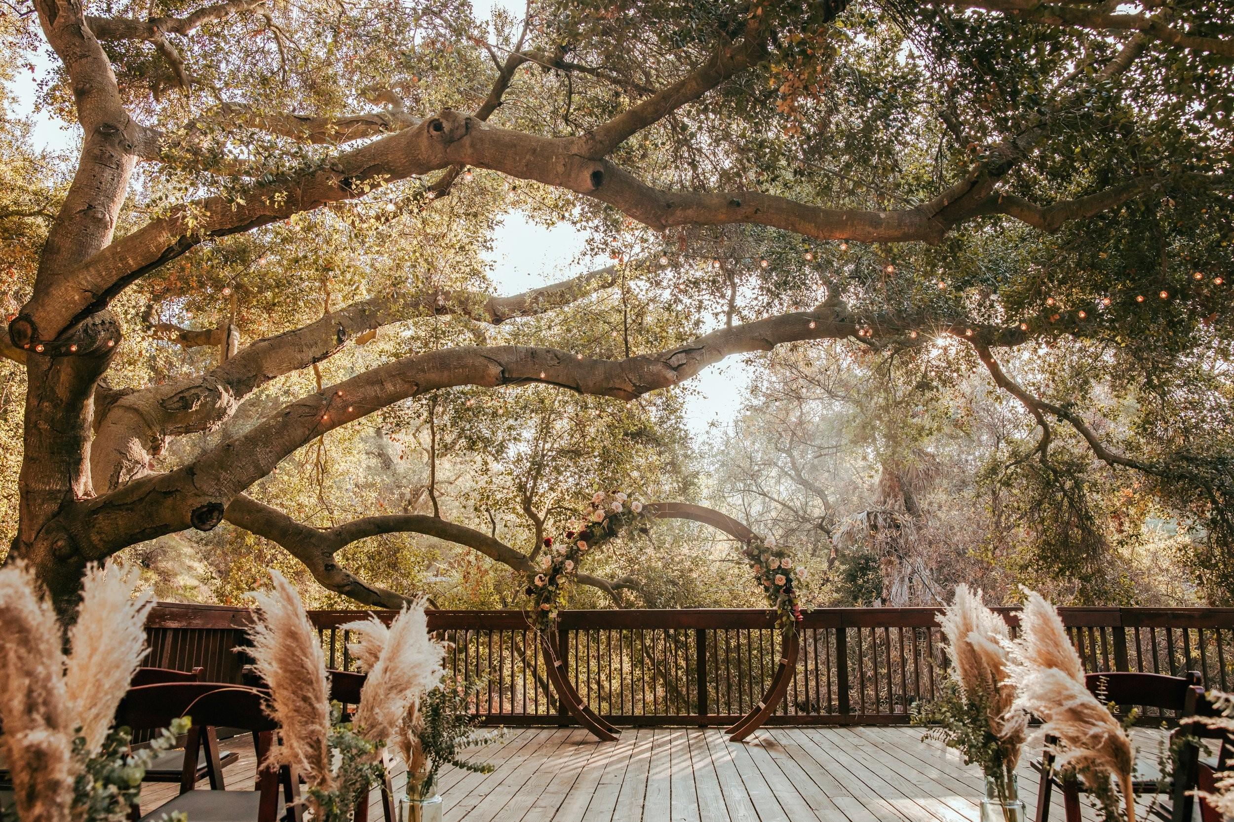 The Wedding Website of Danene Montella and Jason Trotta