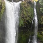 Lower Falls Creek trail