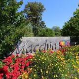Macchia Wines