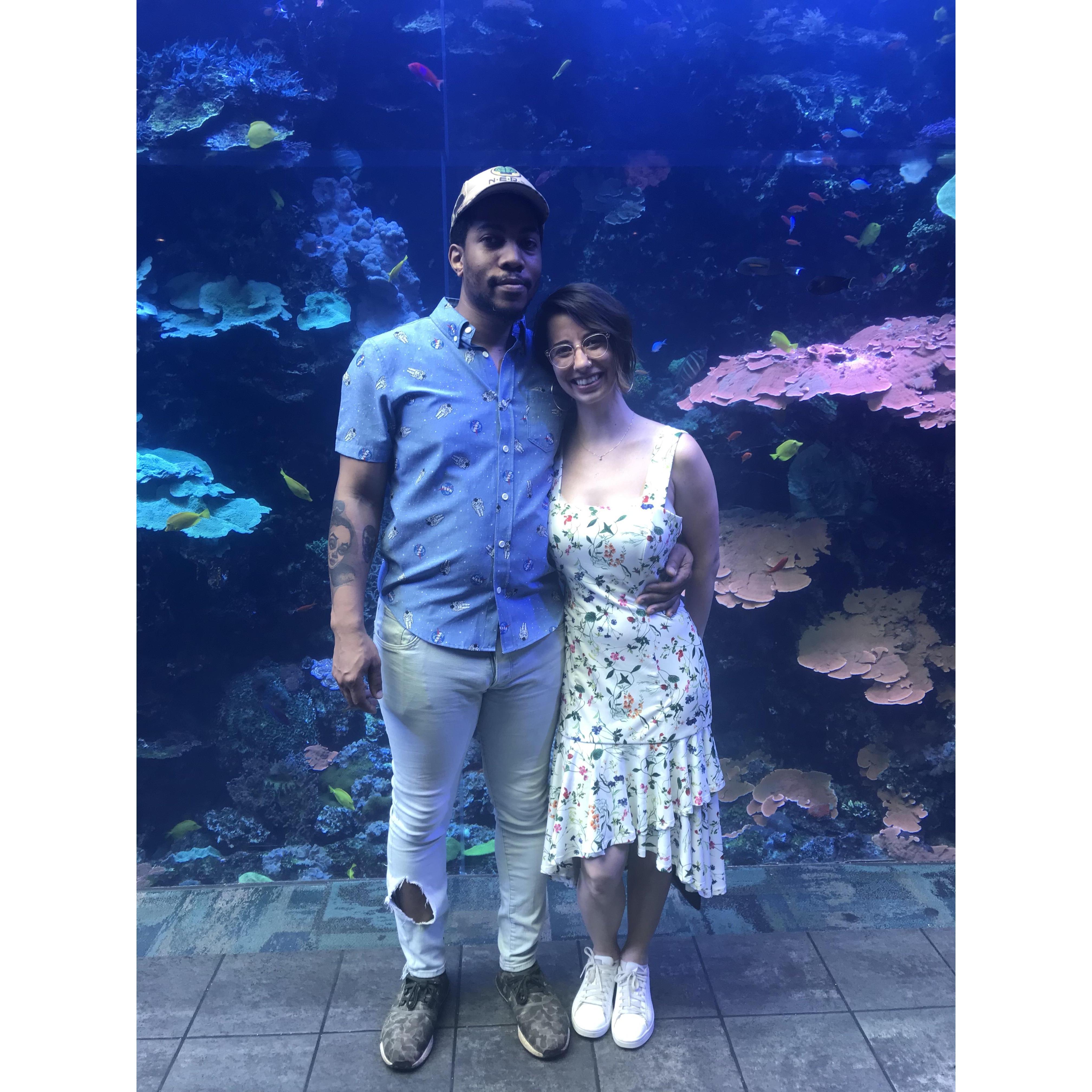 Georgia Aquarium, Spring 2019