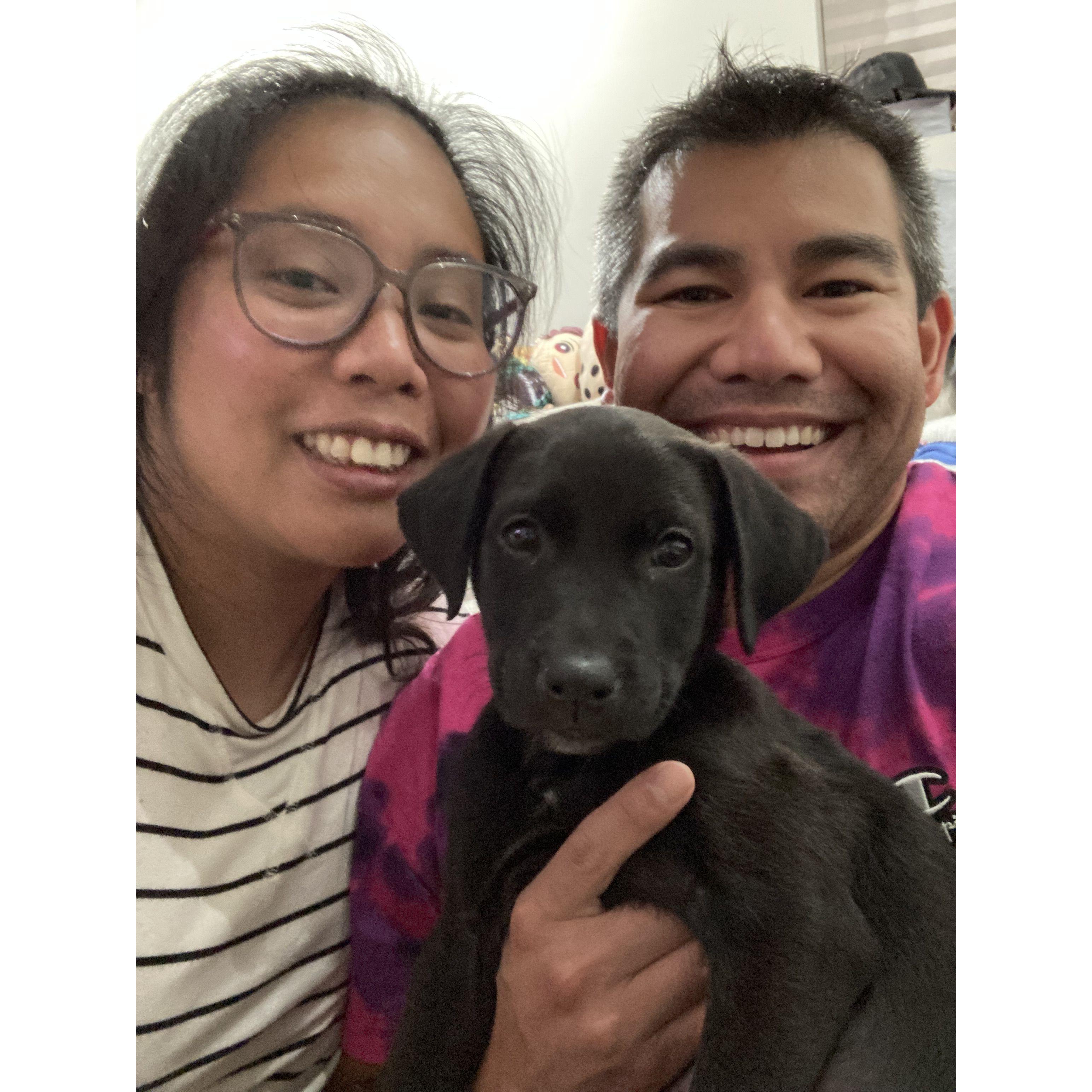 Shadow's first day at home! We adopted Shadow from the Hot Dog Festival in Portage Park. June 2022.