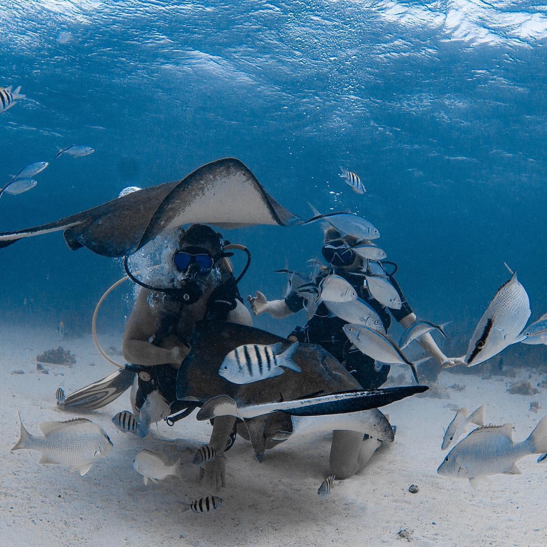 Second dive while stopping at the Grand Cayman Islands on our Caribbean cruise!