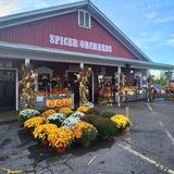 Spicer Orchards Farm Market, Cider Mill, Fudge, Bakery