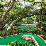 Miniature Golf
