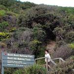 Booti Hill Walk
