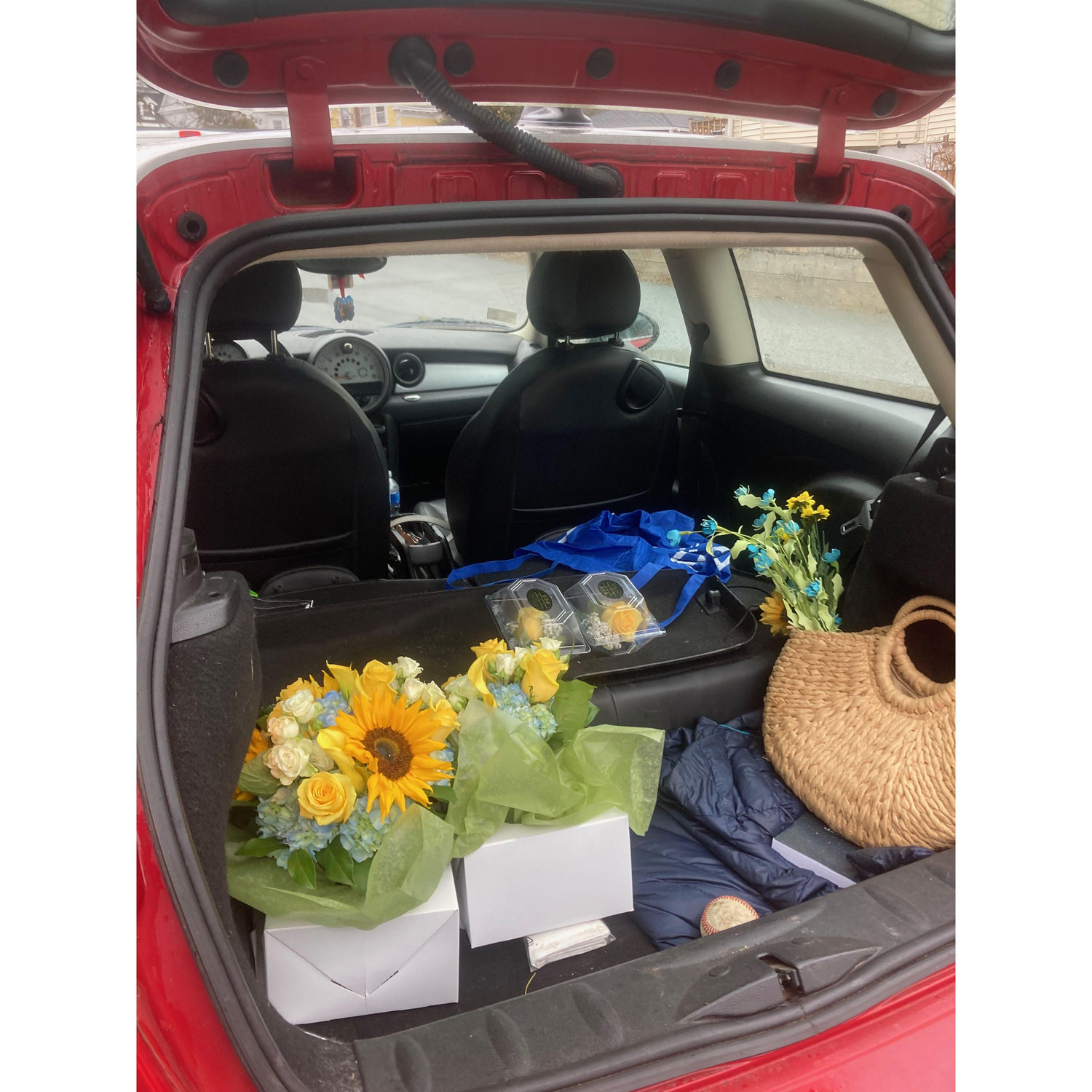 Trunk of Love