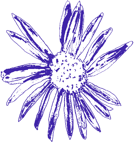 The Wedding Website of Zoe Grieze and Charlie Hart