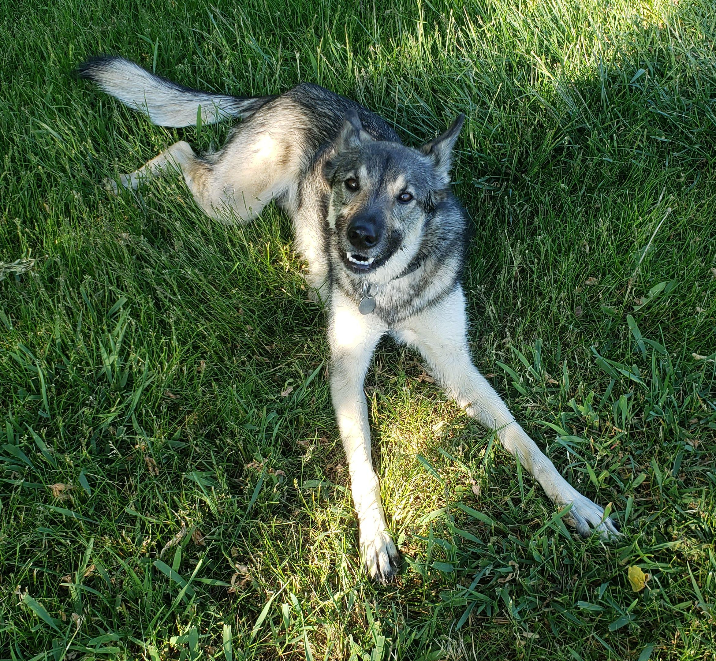 5a917d3f-a41b-4e2a-b5ce-fd1cdec4dd22