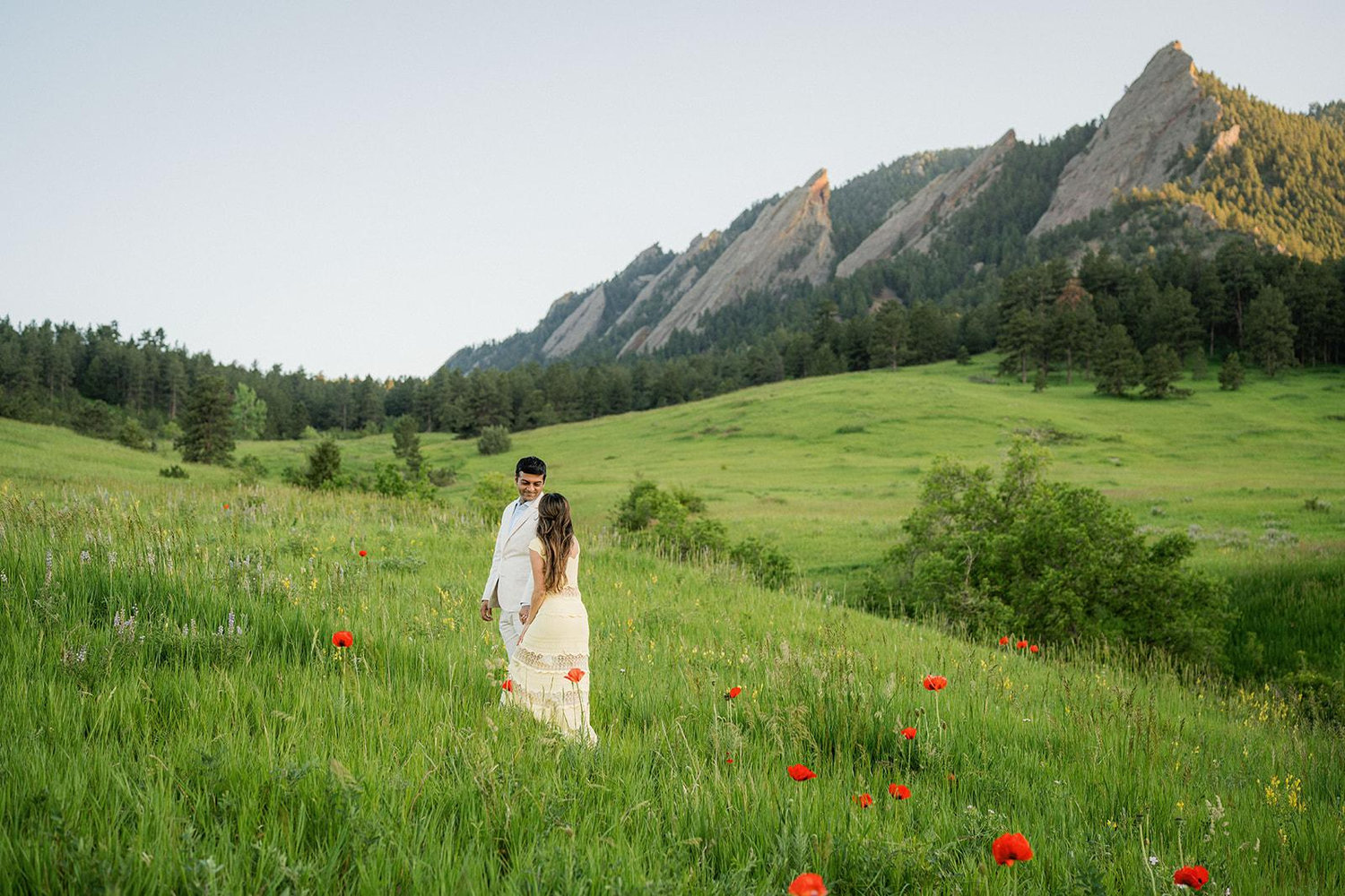 The Wedding Website of Saloni Shah and Akshat Patel