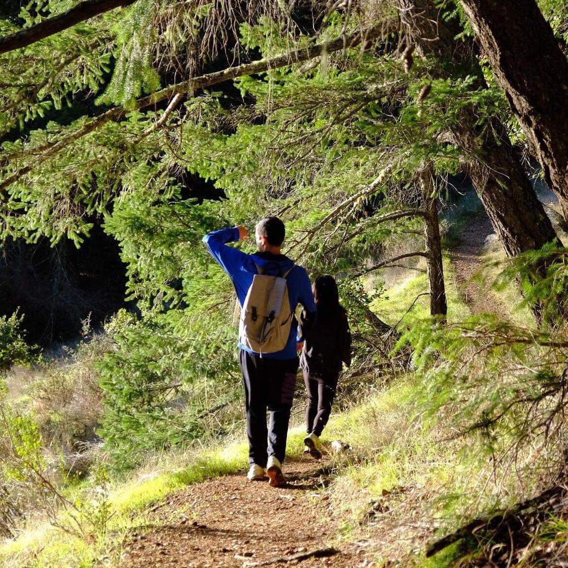 Mt. Tam, Cataract Falls