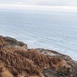 Torrey Pines State Natural Reserve