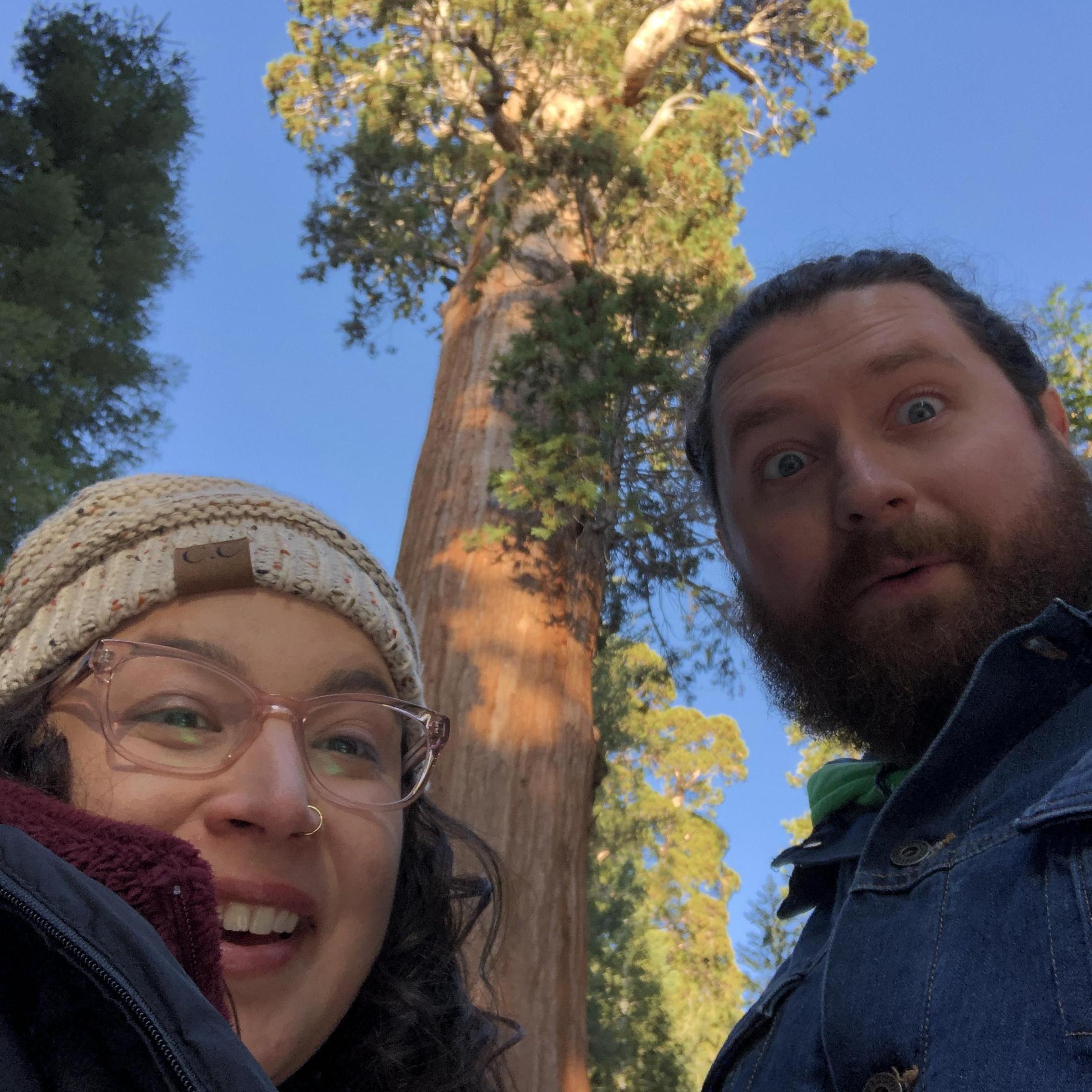 Giant Sequoias!