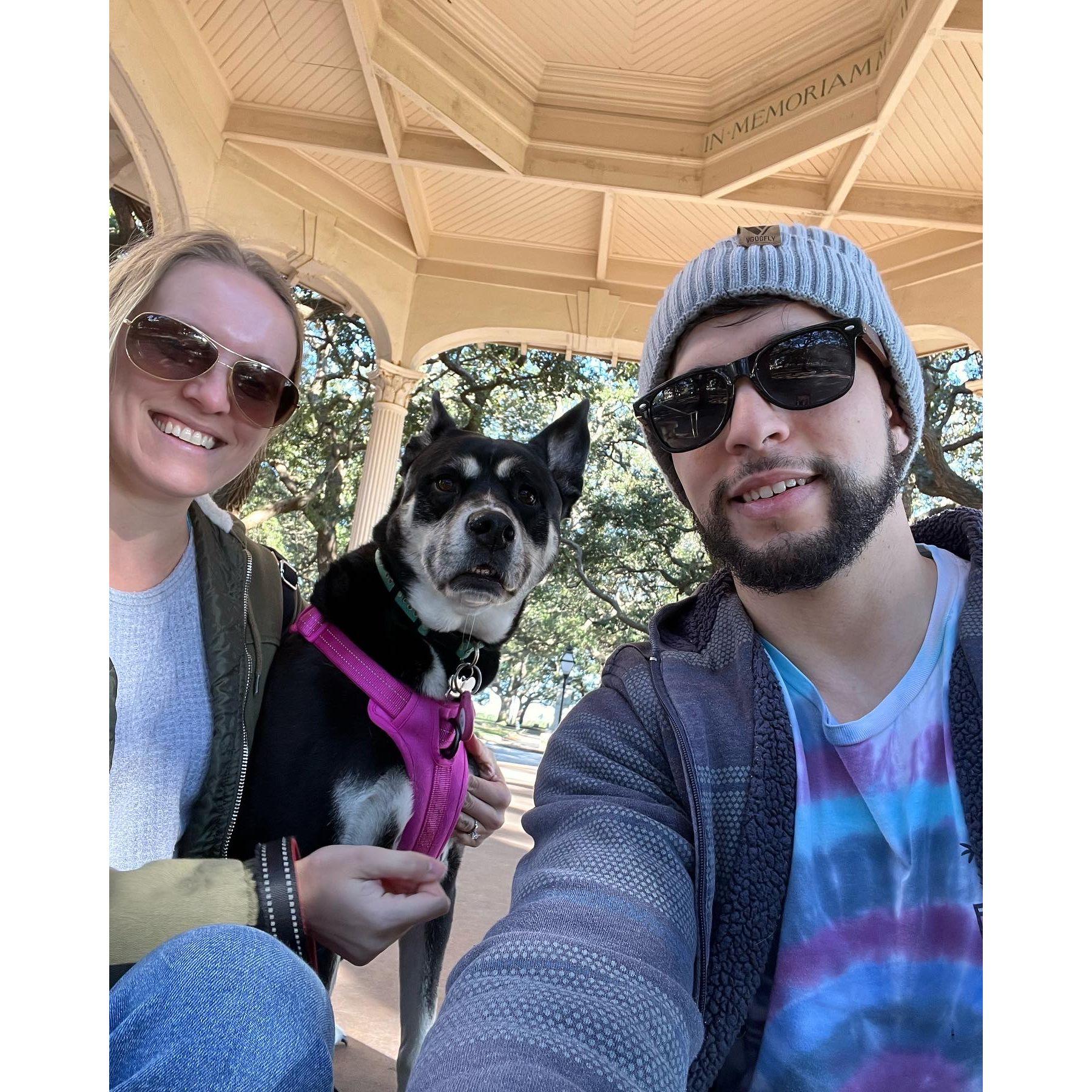 One of our favorite things to do is take Sadie Bear on road trips! Here's us in Charleston, SC.