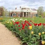 Monticello Plantation