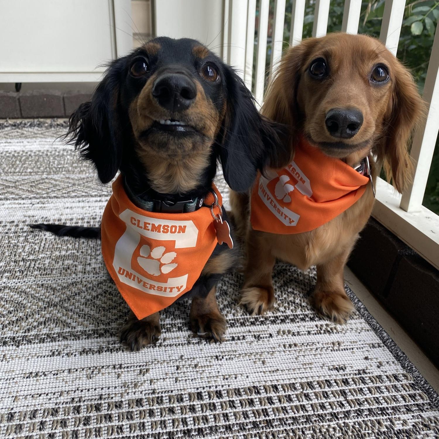 Toby and CJ. Clemson's biggest weenie fans.
