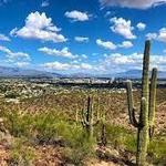 Tumamoc Hill Hiking Trail