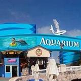 Interactive Aquarium Cancún