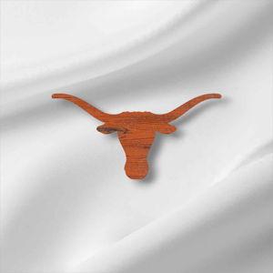 UT Football Tickets for 2