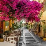 2. Plaka