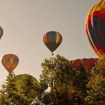 A Grape Escape Hot Air Balloon Adventure