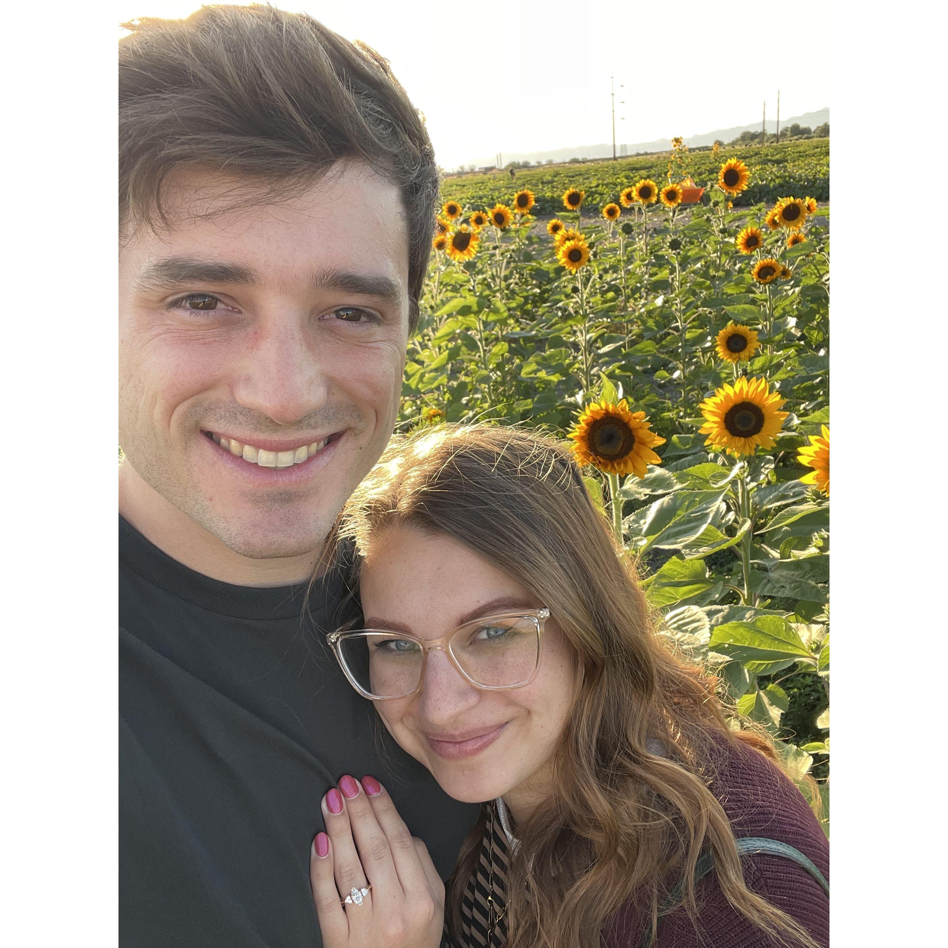 Date to the sunflower patch.