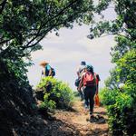 Old Baldy Trail