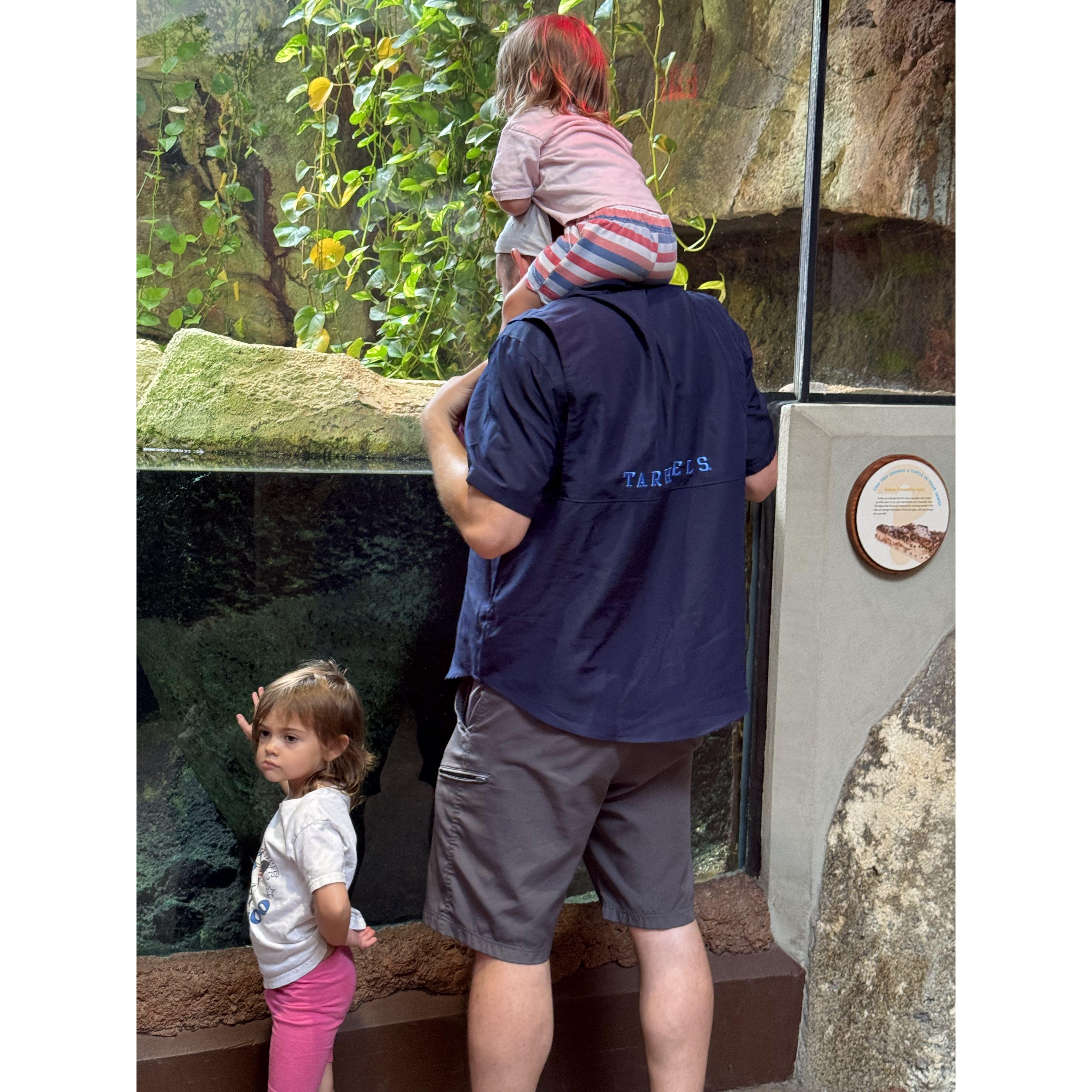 Knoxville Zoo