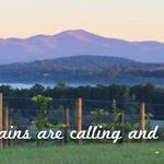 Chattooga Belle Farm