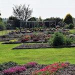JC Raulston Arboretum