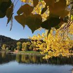Canyon Lake Park