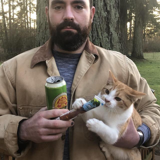 Kitty Food