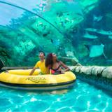SeaWorld San Antonio