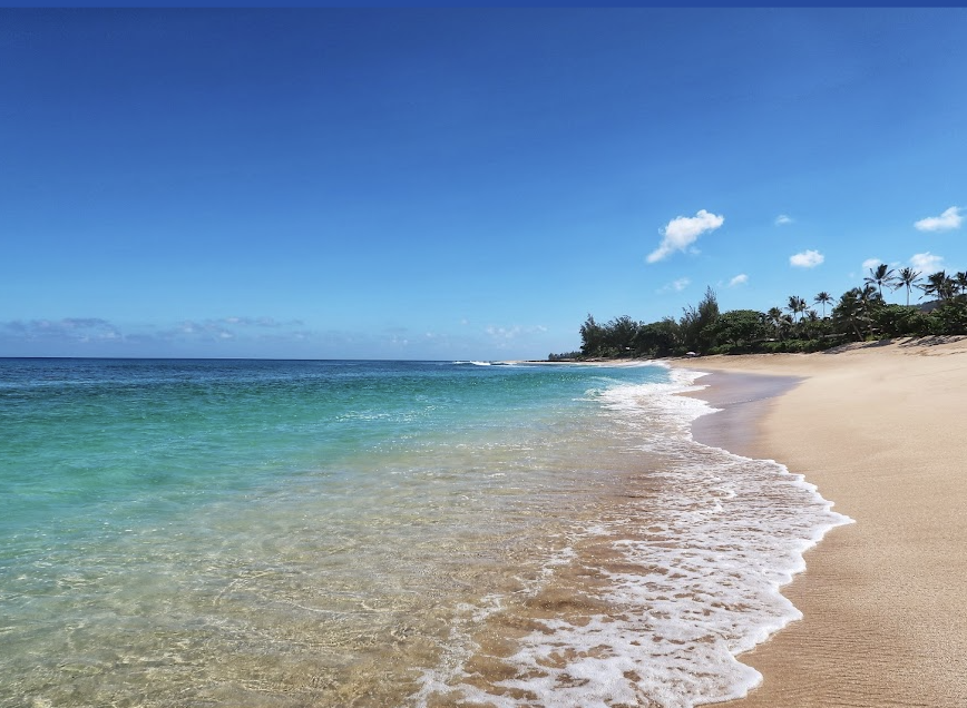 The Wedding Website of Have Fun ... again in Hawaii! and Let's Swim