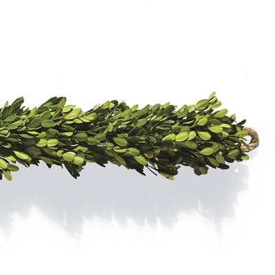 Boxwood Garland | Frontgate