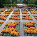 The North Carolina Arboretum